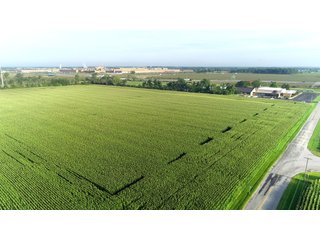Tillable & Wooded Farmland in Allen County, Indiana - LAND AUCTION - 184+/- ACRES OFFERED IN 3 TRACTS IN ALLEN COUNTY, INDIANA